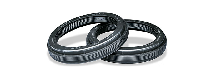 Stemco Discover Seal.jpg