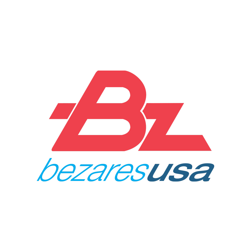 BZ Logo For Web